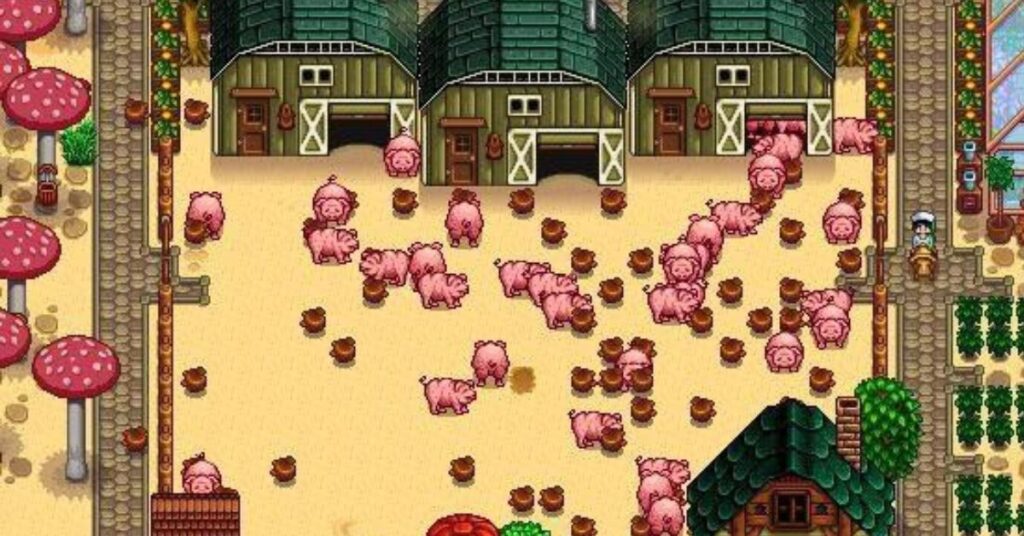 Stardew Valley pig farm