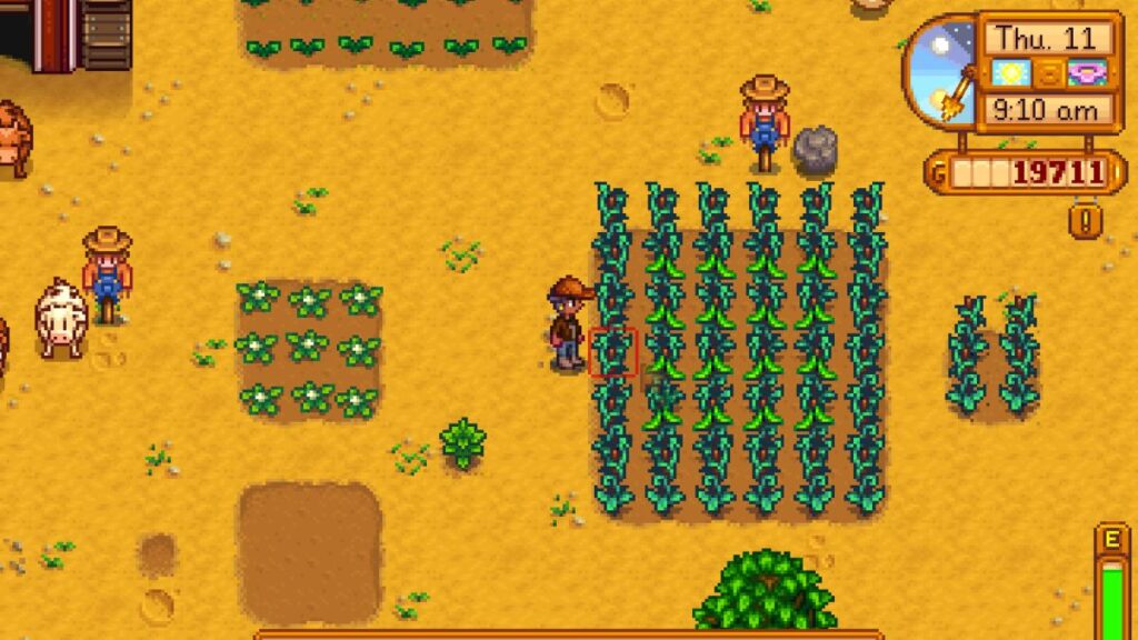 Stardew Valley update 1.6 may turn green beans into early-game goldmine 9